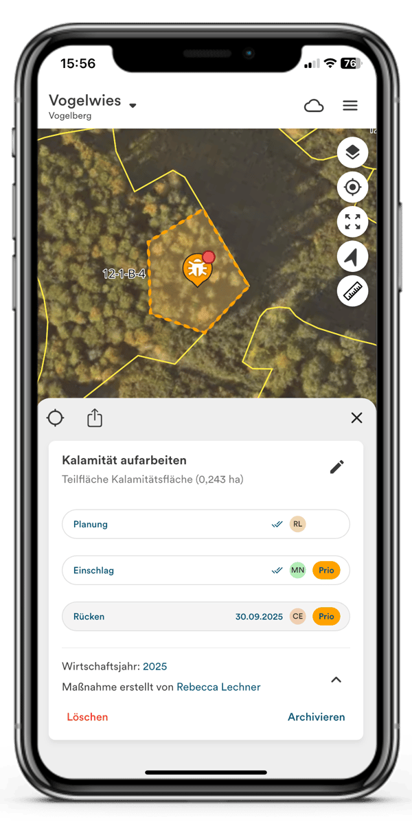 Kalamität-aufarbeiten_Dynamic-Forest